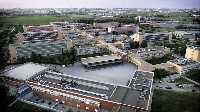 La UPO es la segunda universidad española que más investiga