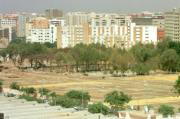 Atípica imagen de la avenida de la Constitución sin coches... en agosto. Rocío Ruz