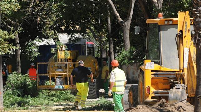 La repoblación del Prado es imposible con el parking