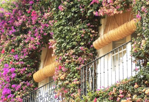 Tradicionales balcones de la fachada de acceso, cubierto de buganvillas.