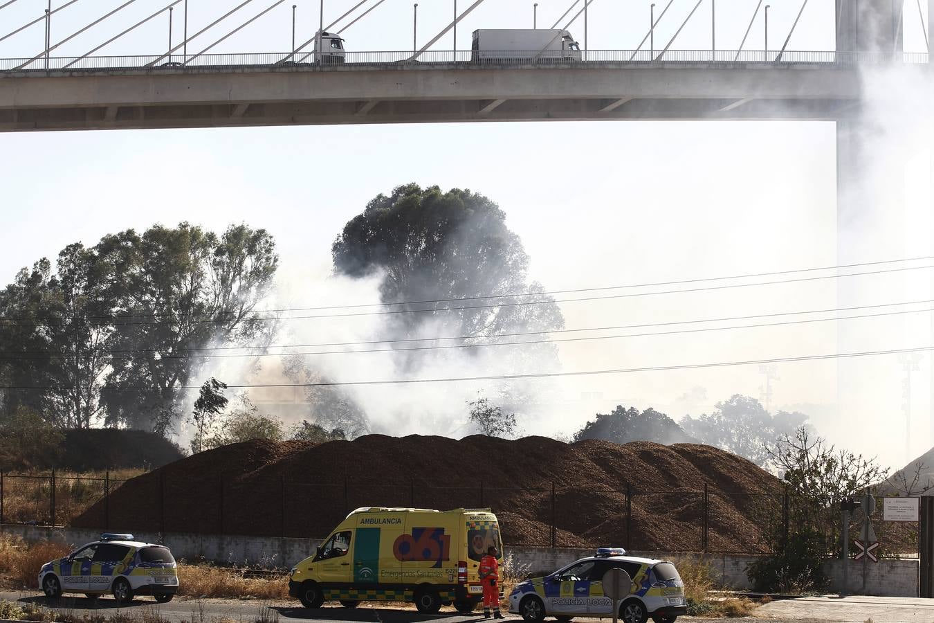 En imágenes, el incendio bajo el Puente del Centenario