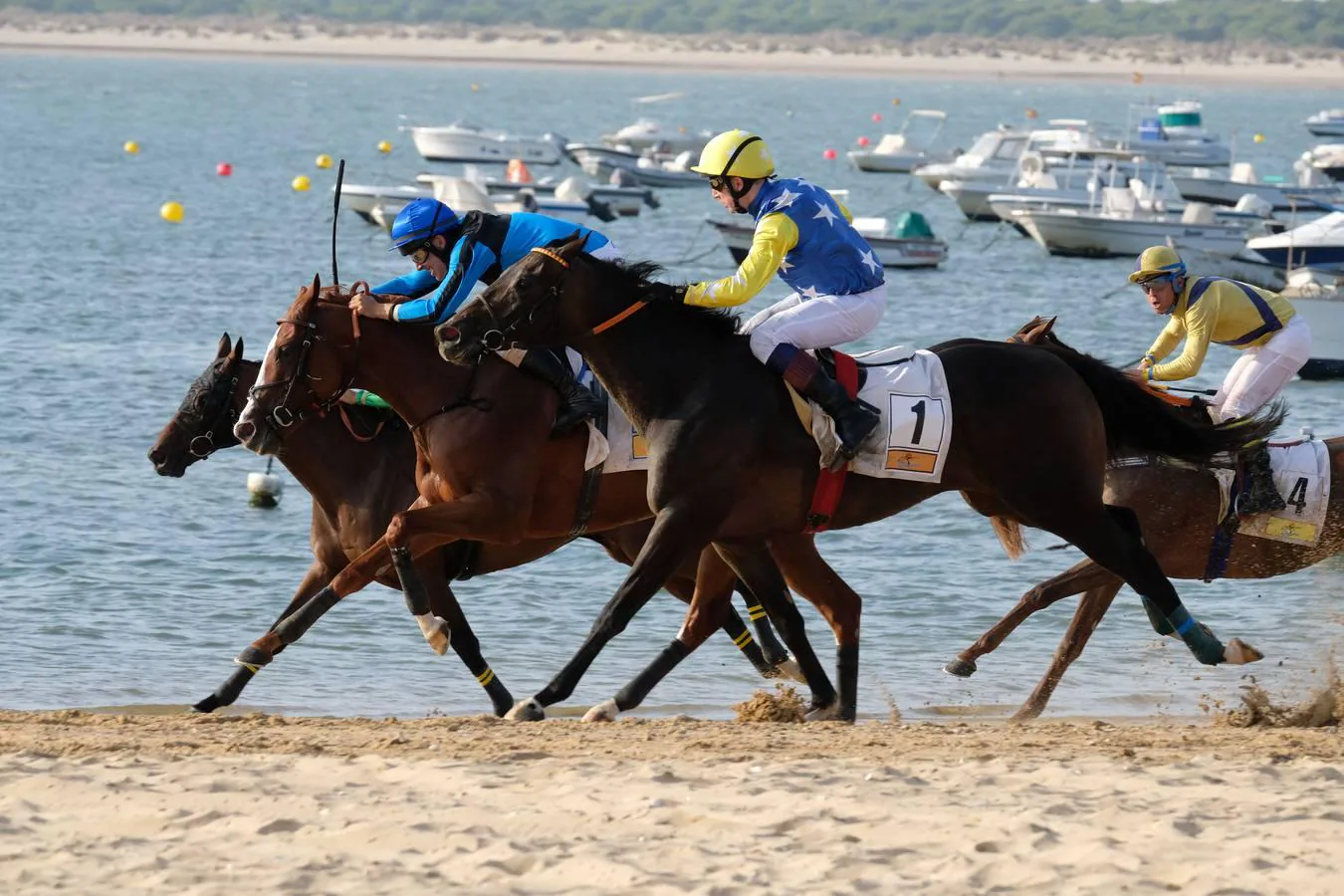 Segunda jornada del segundo ciclo de las Carreras de Caballos de Sanlúcar