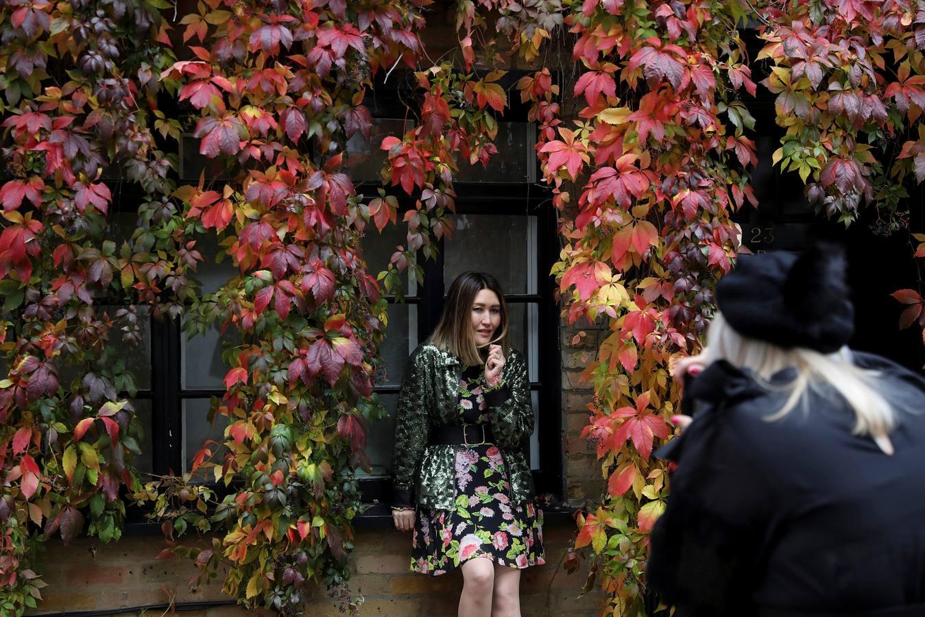 Las mejores imágenes del otoño en el mundo Las mejores imágenes del otoño en el mundo