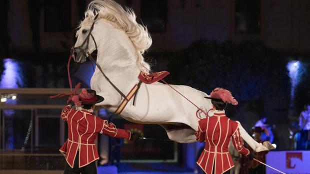 Un momnento del espectáculo de Córdoba Ecuestre