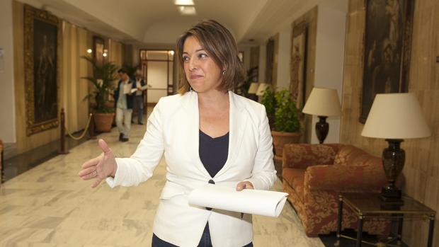 Isabel Ambrosio, en una comparecencia