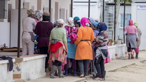 Trabajadoras de fresas temporeras marroquíes en las viviendas de una finca de fresas