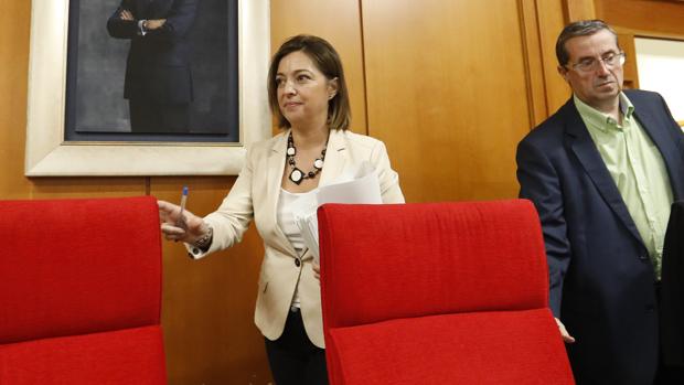 La alcaldesa de Córdoba, Isabel Ambrosio, en un Pleno