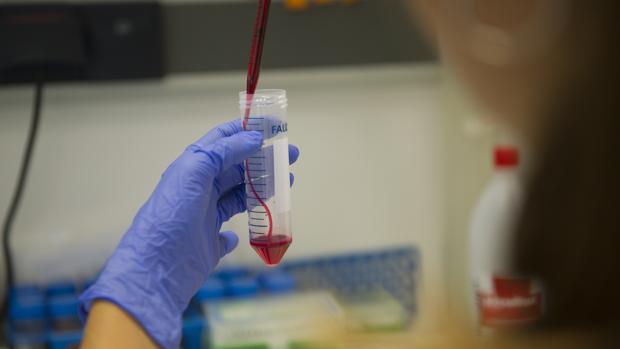 Investigación contra el cáncer en un laboratorio