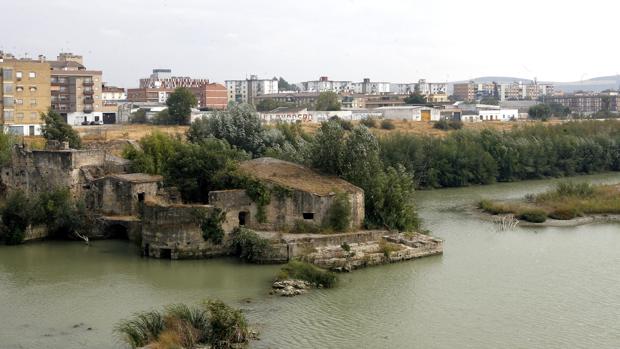 La franja del Cordel de Écija más cercana al puente de San Rafael