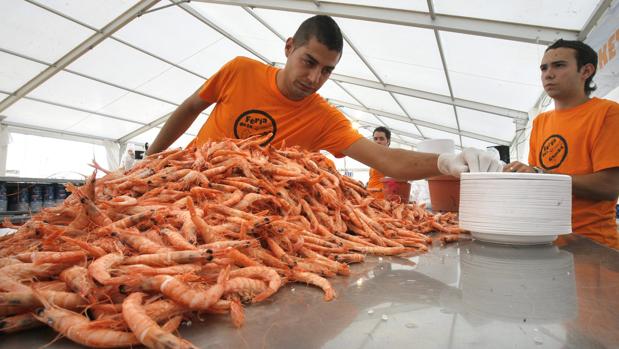Comida en la Feria de la Gamba en Córdoba