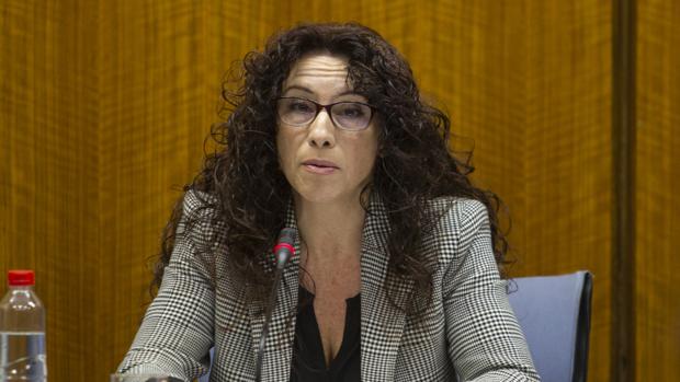 La conseejra de Igualdad, Rocío Ruiz