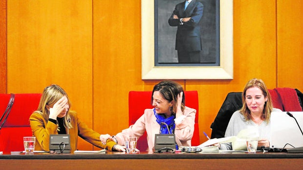 La alcaldesa, en la presidencia de un Pleno