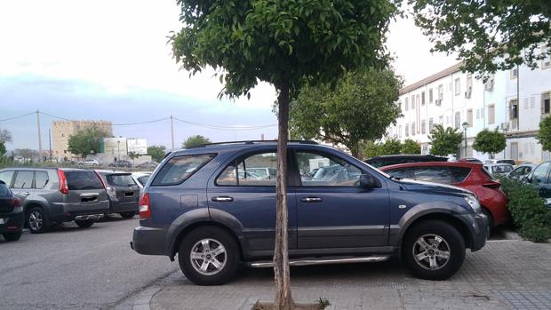 Coches mal estacionados en el Campo de la Verdad, en una imagen faciltada por la Asociación Guadalquivir