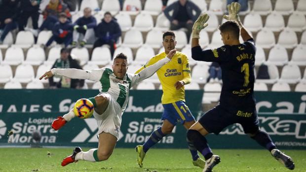 Piovaccari remata a portería en el Córdoba CF-Las Palmas de la primera vuelta