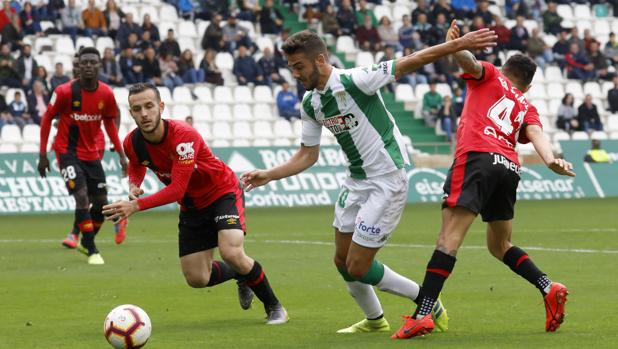 El delantero del Córdoba Andrés Martín, en el partido ante el Real Mallorca