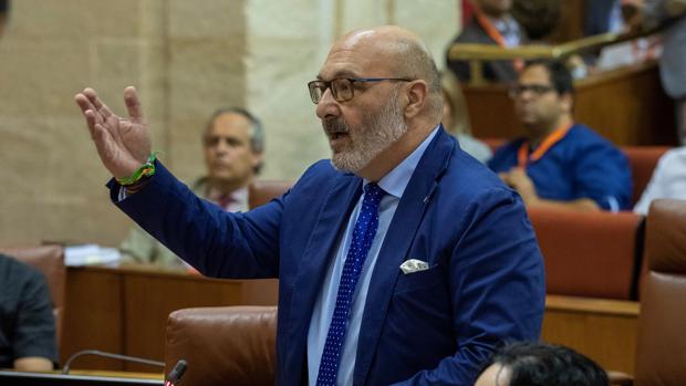 El portavoz de Vox, Alejandro Hernández, durante una intervención en el Parlamento