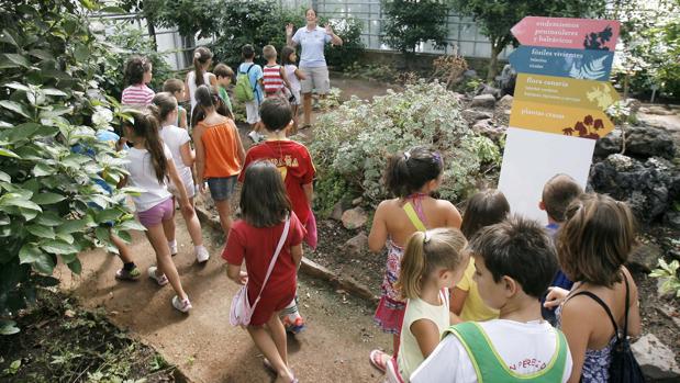 Niños en una actividad de la Escuela de Verano Municipal en el Jardín Botánico