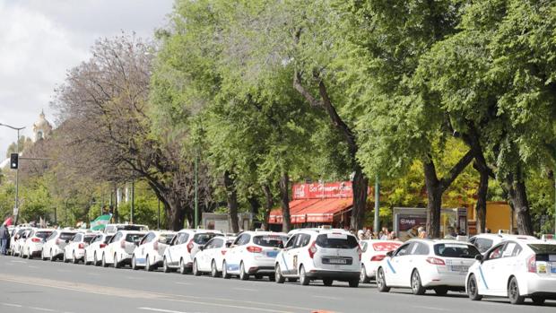 Taxistas en protesta por Sevilla