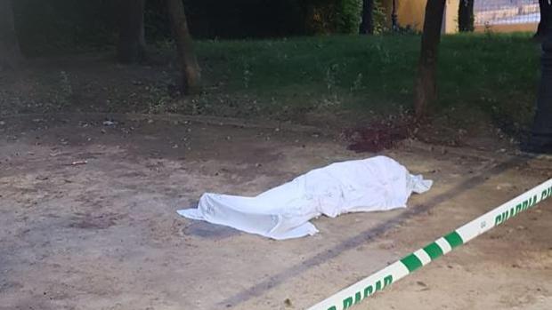 El hombre apuñalado en Granada