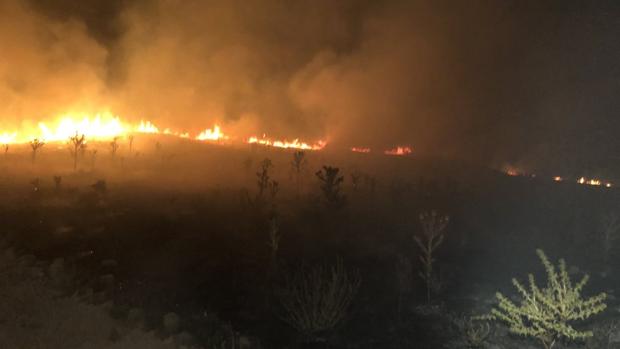 Imagen de los pastos en llamas ayer en el yacimiento de Ategua en Santa Cruz