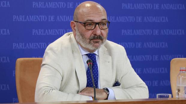 Alejandro Hernández, portavoz de Vox en el Parlamento andaluz
