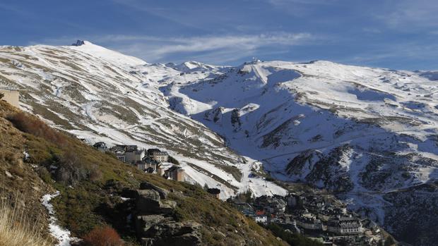 Sierra Nevada cuenta con 80 especies de animales endémicas y 66 especies vegetales únicas