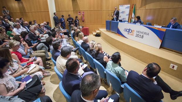 Carlos Ortiz en un momento de la presentación de los datos anuales