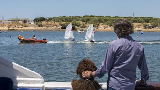 Optimis en la ría