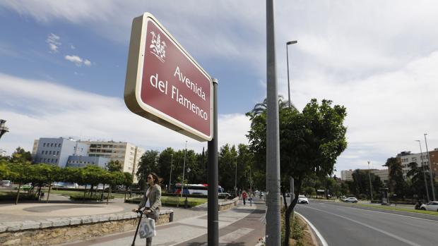 Avenida del Flamenco