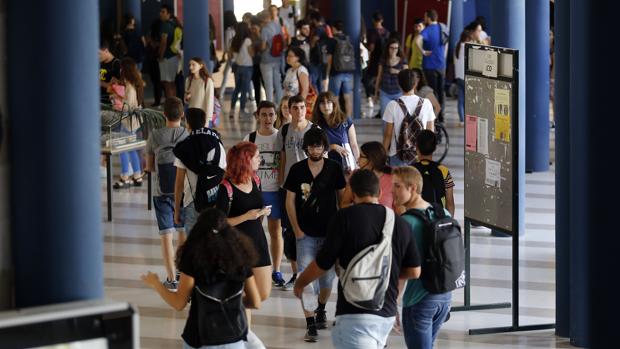 Jóvenes en el Campus Universitario de Rabanales