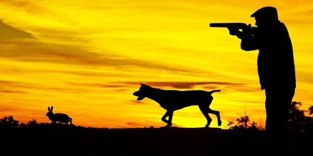 En plena pandemia, la Junta autoriza a los cazadores a moverse libremente por Andalucía