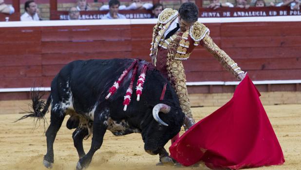 José Tomás, al natural