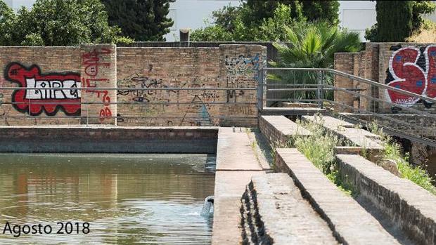 Los restos almohades del siglo XII de la Buhaira de Sevilla cubiertos de pintadas