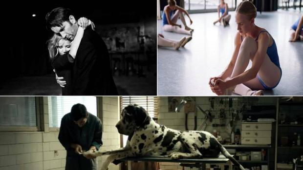 Fotogramas de las películas «Cold War», «Girl» y «Dogman»