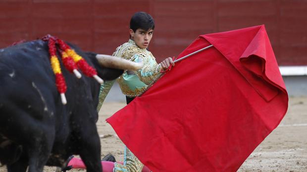 Francisco de Manuel, el pasado año en Las Ventas