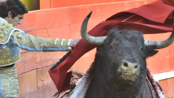 Castella, con el segundo