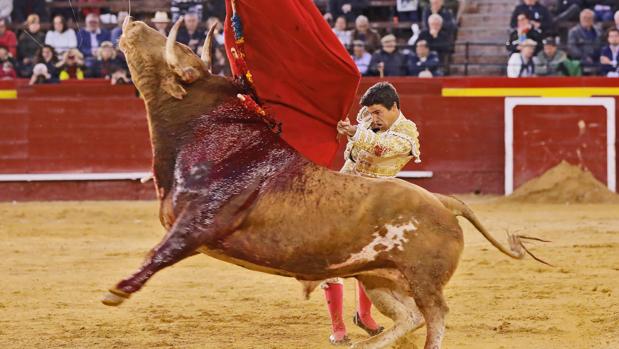 Pablo Aguado triunfa en Valencia y sustituye en Morón