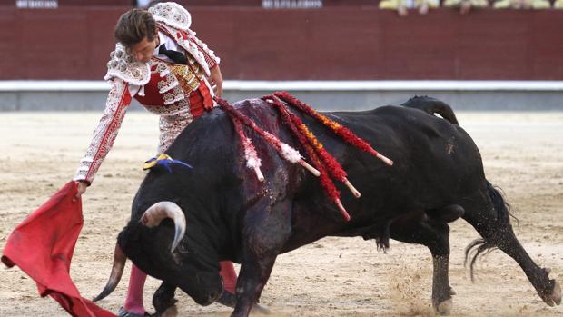 Maxime Solera, en un derechazo con el novillo embistiendo con codicia