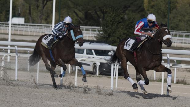 Carrera de caballos en el Hipódromo de la Zarzuela