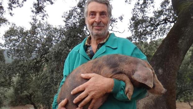 Eduardo Donato sujeta en brazos uno de sus cerdos ibéricos manchados