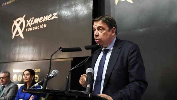 El ministro de Agricultura, Luis Planas