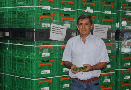 Juan Antonio Sánchez, director comercial de la cooperativa Frusana, en Sanlúcar de Barrameda