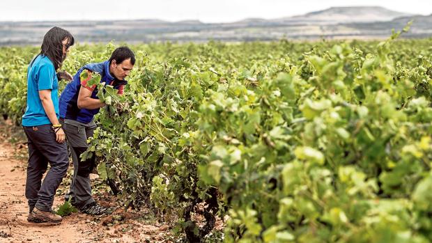 El apoyo a los jóvenes agricultores ha sido una línea de acción prioritaria