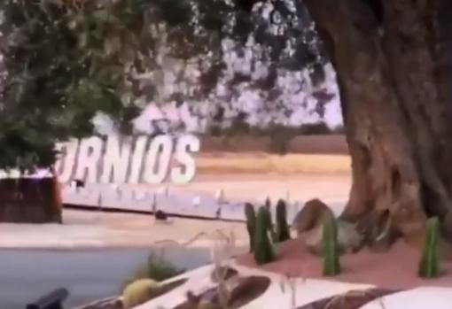 Mural con la palabra «#Unicornios».