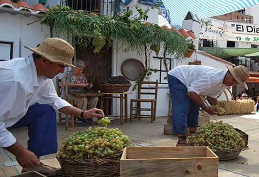 Actividades en el Día de la Pasa.