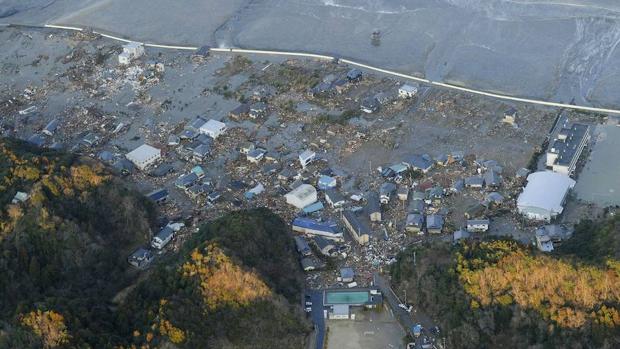 Entre 2012 y 2017, científicos documentaron cerca de 300 especies de animales marinos que llegaron con vida a Estados Unidos en cientos de objetos lanzados al océano por el tsunami de 2011