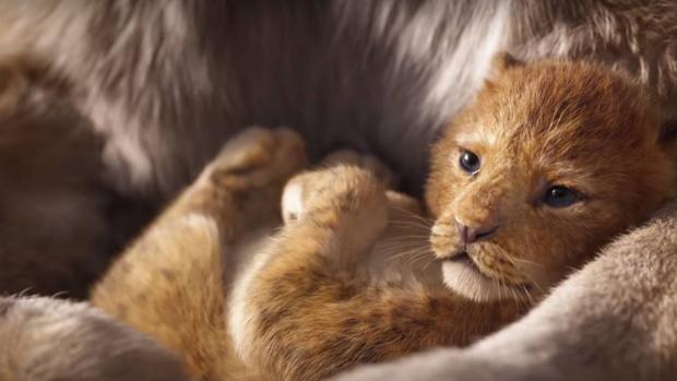 El Rey León llegará este año a los cines