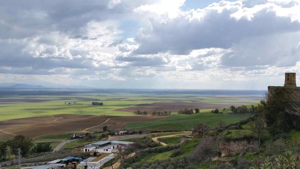 El cambio climático puede afectar a la economía de Carmona centrada en la agricultura y la ganadería