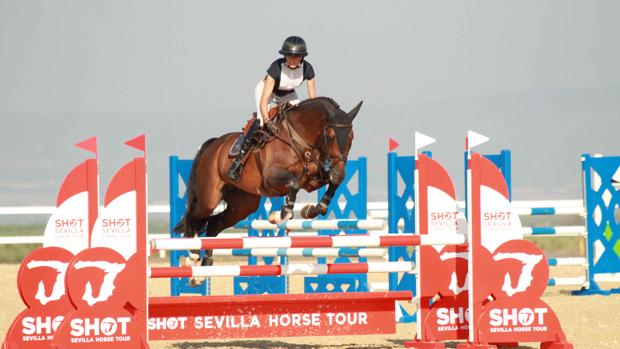 Caballos y jientes de todo el mundo participarán en las competiciones de salto en Carmona