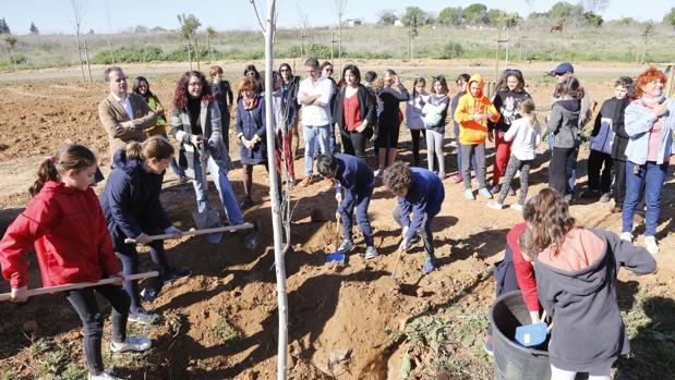 Los estudiantes de Mairena del Aljarafe plantaron ayer los primeros árboles del Parque Central